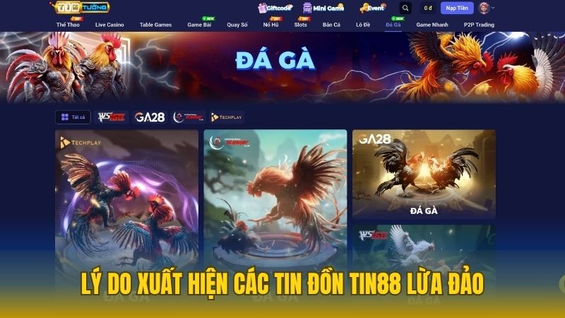 Nguyên nhân xuất hiện tin đồn nhà cái Tin88 lừa đảo